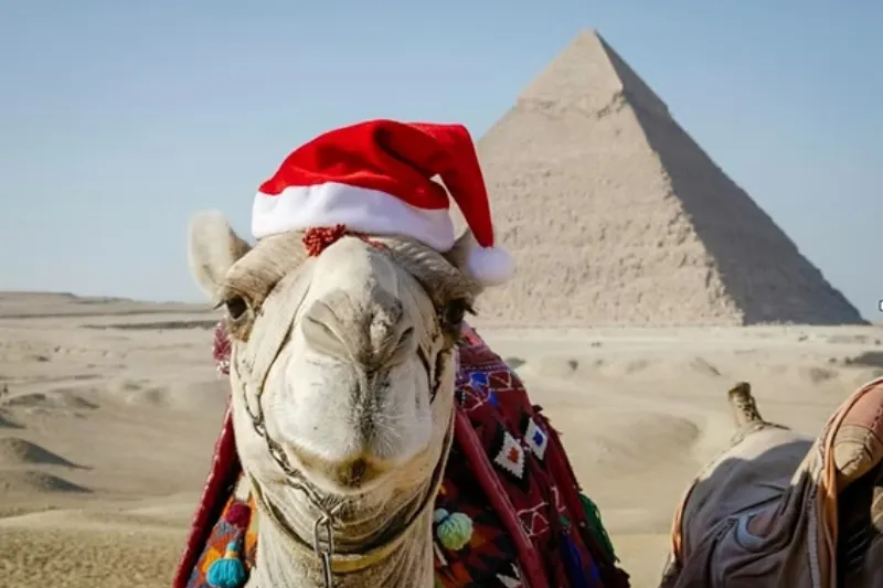 Offerte Egitto Capodanno 2027 | Tour, Crociere e Vacanze